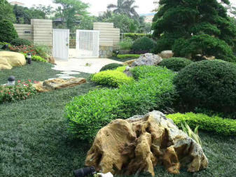 园林景观设计 绿化工程 别墅造景 修剪养护